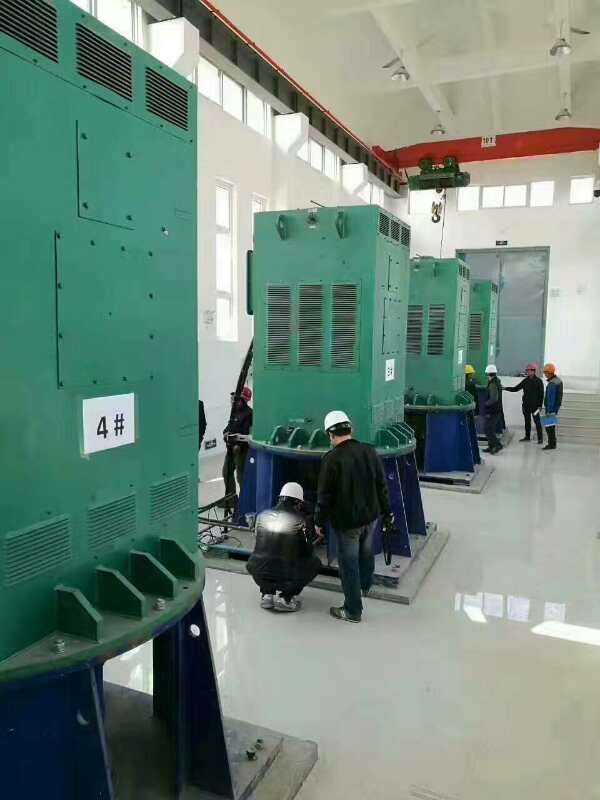 克拉玛依某污水处理厂使用我厂的立式高压电机安装现场生产厂家
